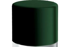 Zubehör Reparatur-Spray moosgrün